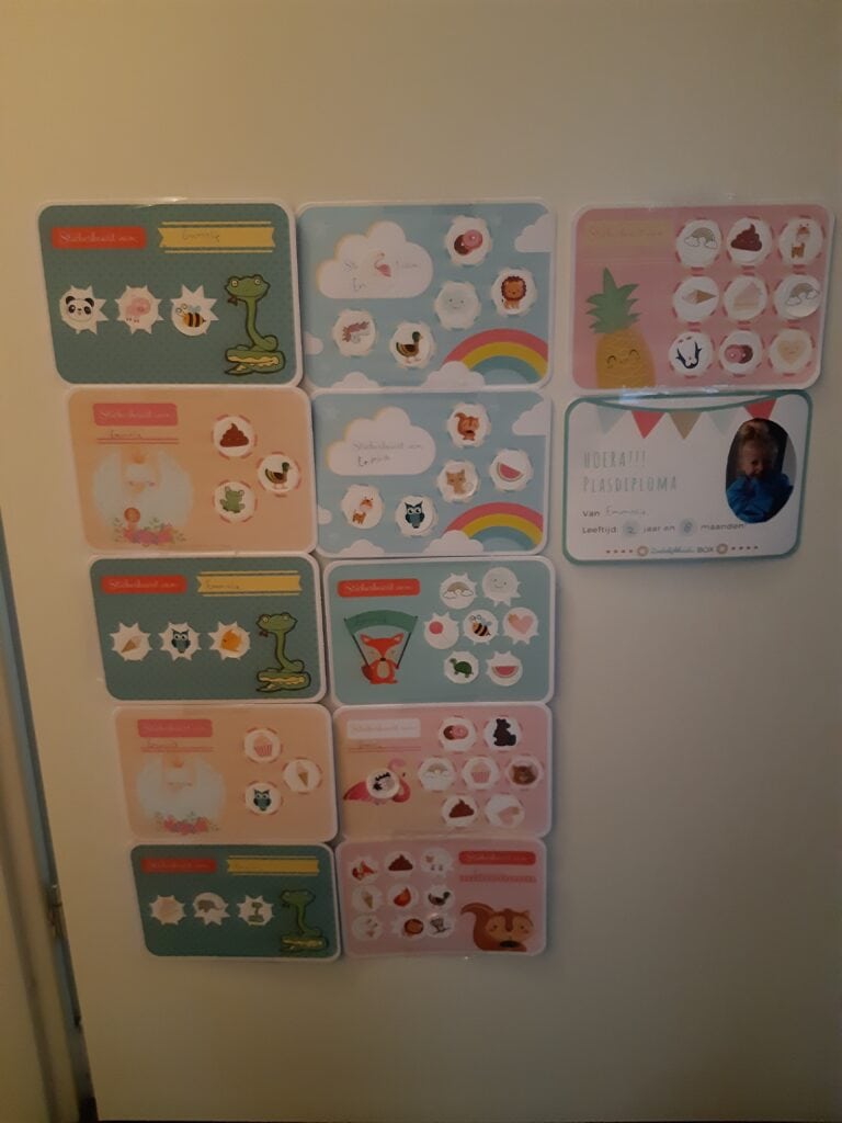 Afbeelding #2 van Roos