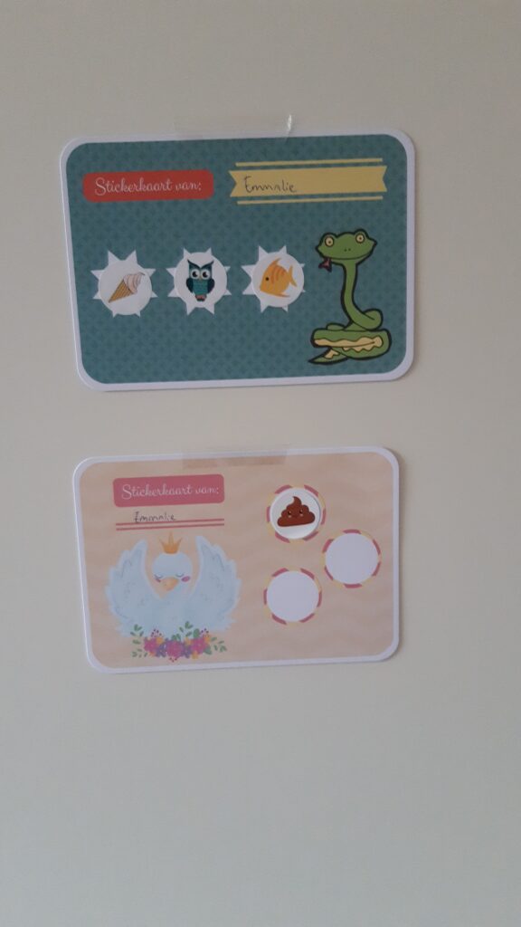 Afbeelding #1 van Roos