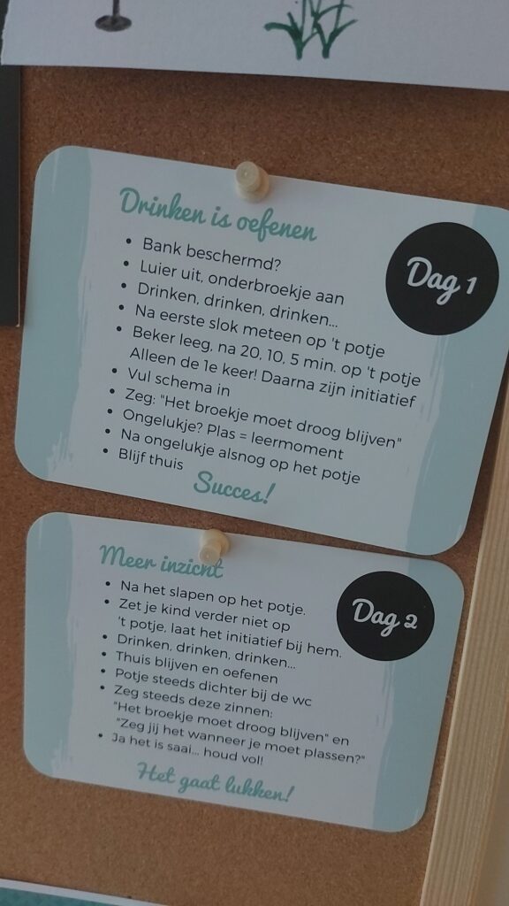 Afbeelding #1 van Wies